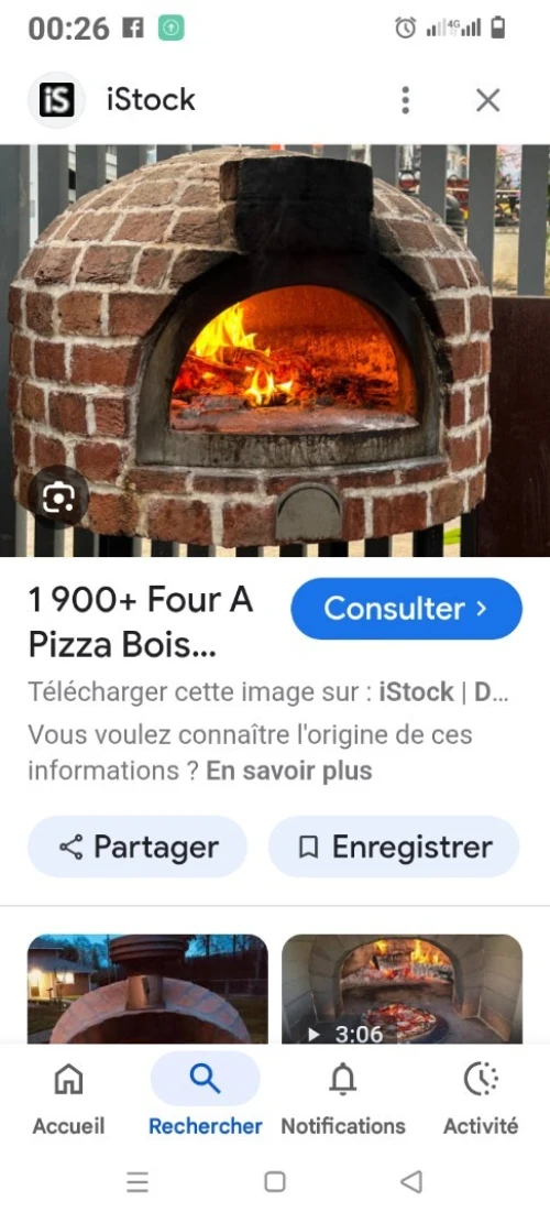 Four électrique à pizza four à gaz brûleur