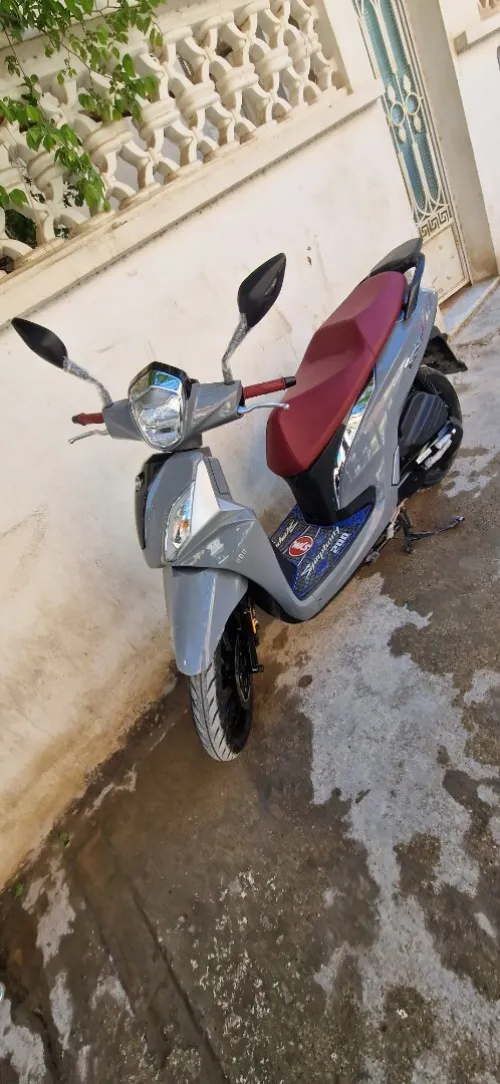Sym Symphonie st 2024