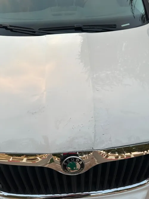 Skoda Yeti 2012 Monte carlo