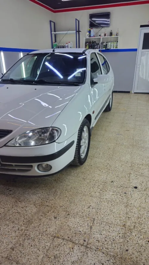 Renault Megane 1 2001 Megane 1