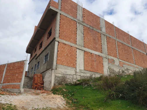 Vente Villa Blida Meftah