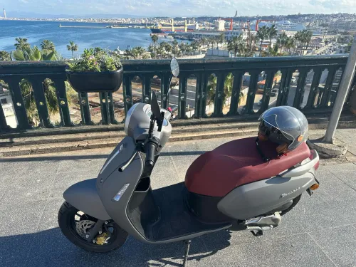 benelli panarea 2025