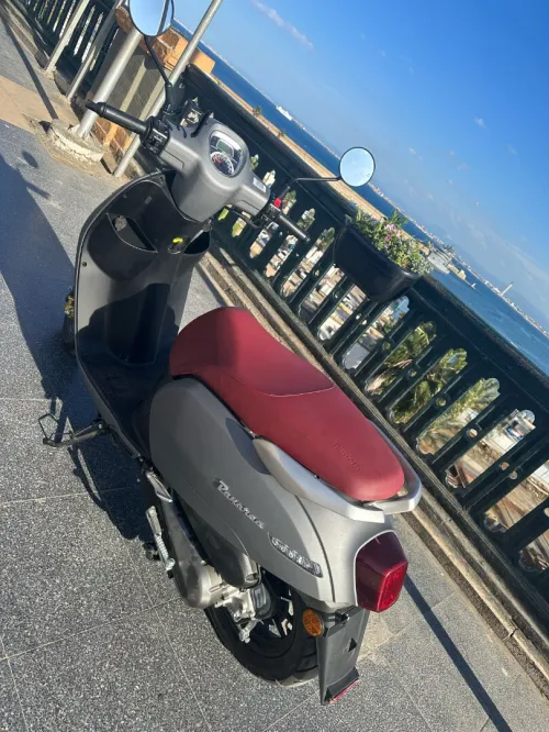 benelli panarea 2025