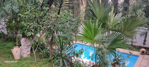 Location Villa Alger Ben aknoun