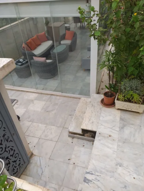 Location Appartement F3 Alger Hydra