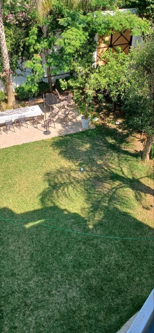 Location Villa Alger Dely brahim