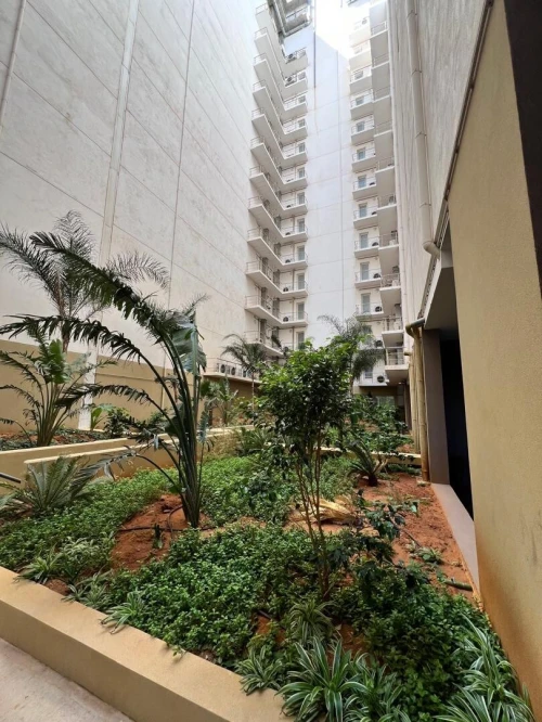 Vente Appartement F4 Alger Dely brahim
