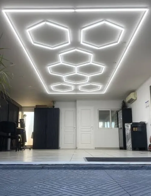 NEON LED RUCHE 