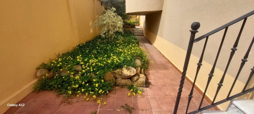 Location Villa Alger Birkhadem