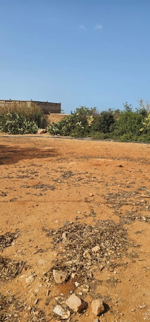 Vente Terrain Mostaganem Sidi lakhdaara