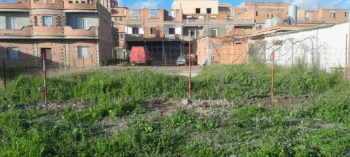 Vente Terrain Alger Sidi moussa