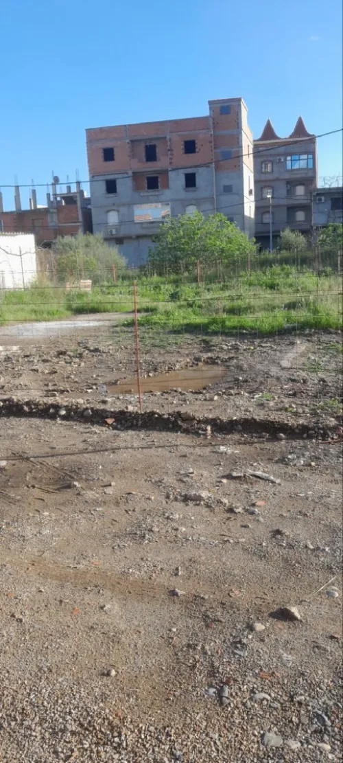Vente Terrain Alger Sidi moussa