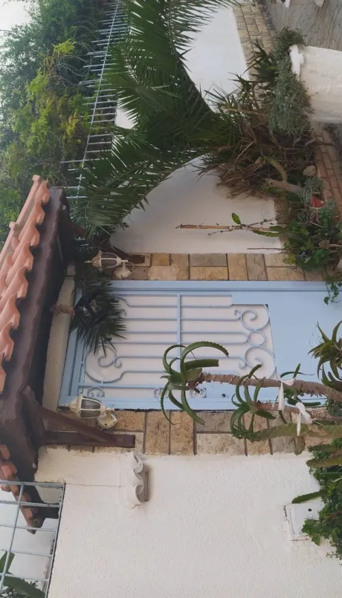Vente Villa Alger El marsa