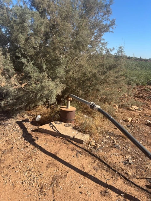 Vente Terrain Tlemcen Maghnia