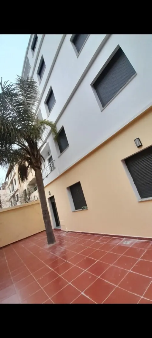 Location Immeuble Alger Zeralda