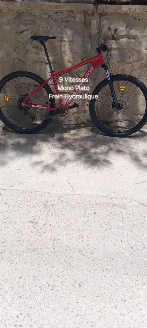 Vélo. Nakamura Summit 920 LTD