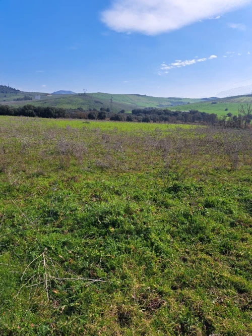 Vente Terrain Tizi Ouzou Ouadhia