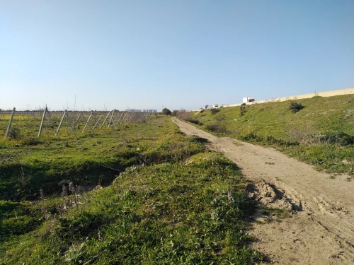 Vente Terrain Boumerdes Hammedi