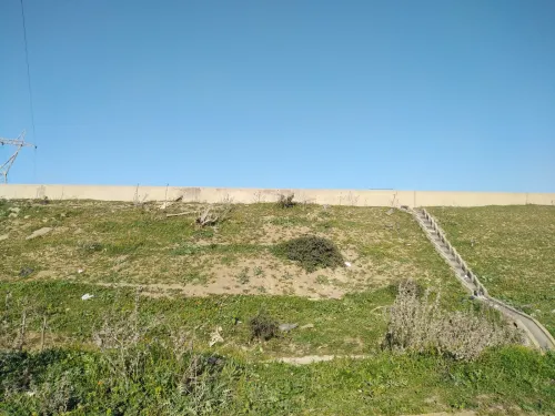 Vente Terrain Boumerdes Hammedi