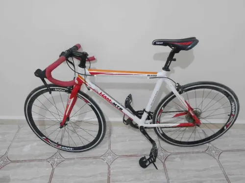 Velo course Ham MTB Rl600 
