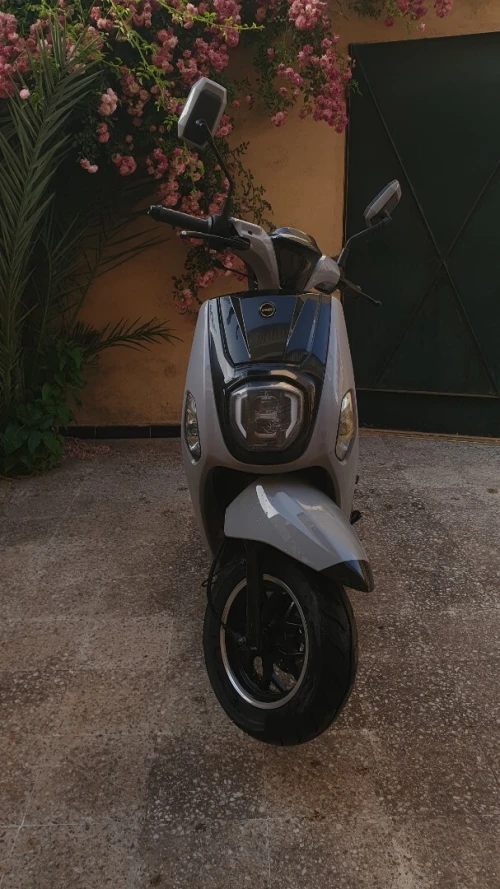 Vms Estate X 2025