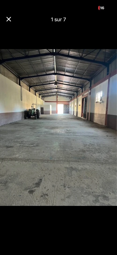 Location Hangar - Usine Blida Beni tamou