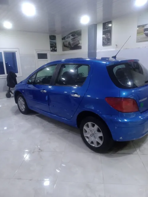 Peugeot 307 2002 307