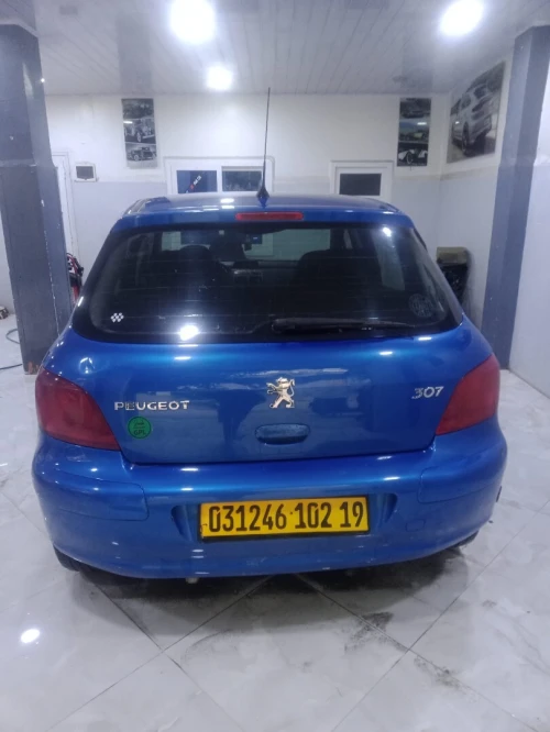 Peugeot 307 2002 307
