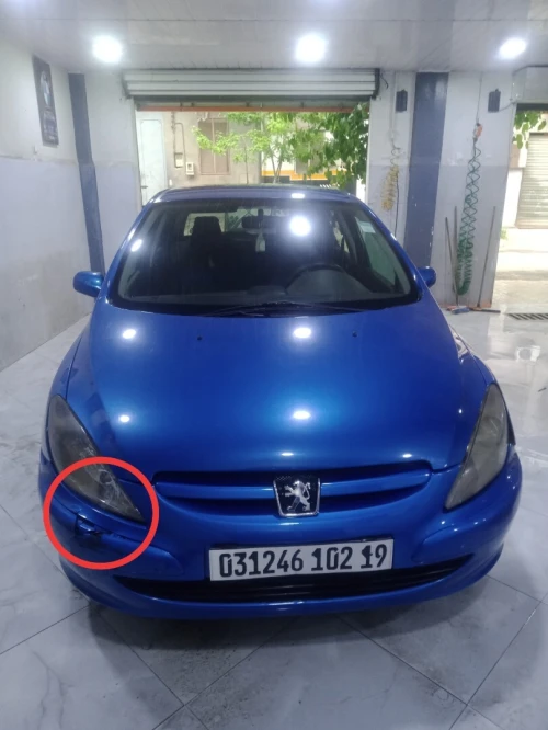 Peugeot 307 2002 307