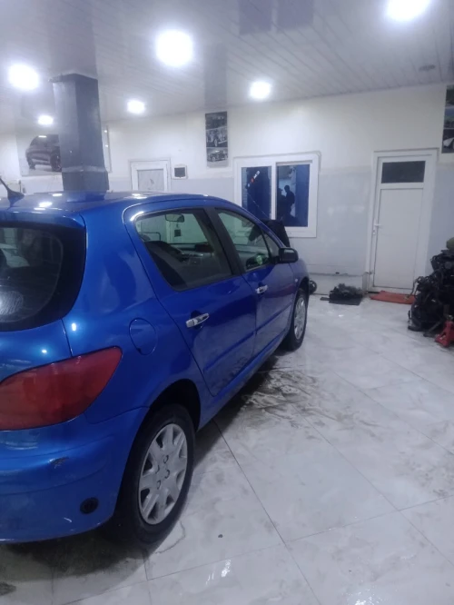 Peugeot 307 2002 307