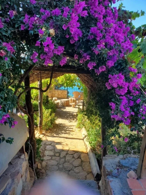 Location vacances Bungalow F3 Béjaïa Bejaia