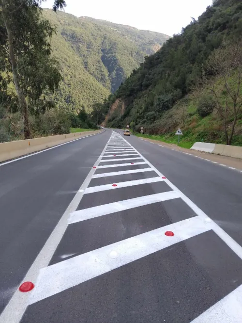 Travaux de signalisation horizontale et verticale traçage et marquag des routee du route