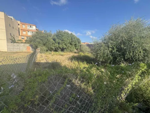 Vente Terrain Boumerdès Ouled hedadj