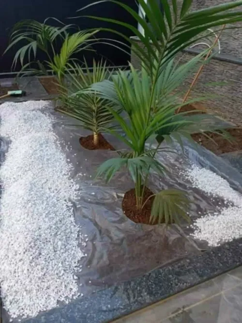 Espace vert et Gazon Naturel 