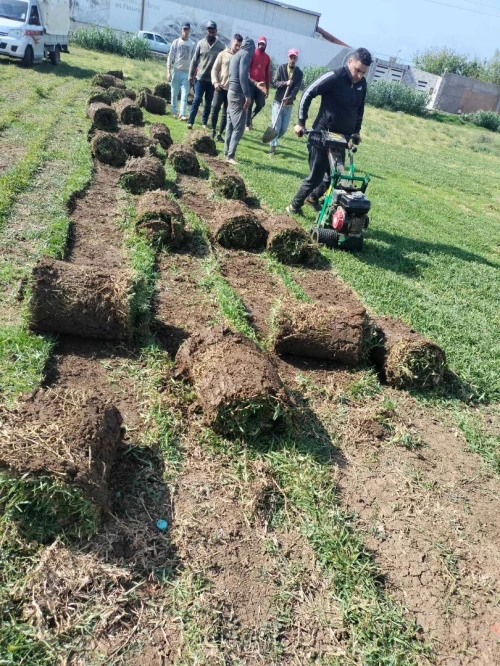 Espace vert et Gazon Naturel 