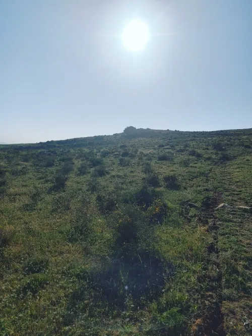 Location Terrain Agricole Constantine El haria