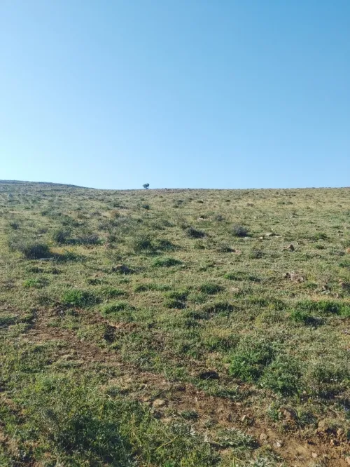 Location Terrain Agricole Constantine El haria