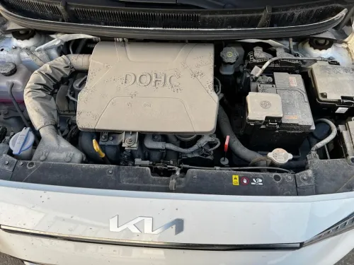 Kia PICANTO 2025 Dubai