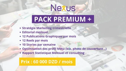 NEXUS CRÉATION DE CONTENU GESTION DES RÉSEAUX SOCIAUX