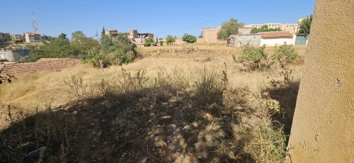 Vente Terrain Médéa Medea