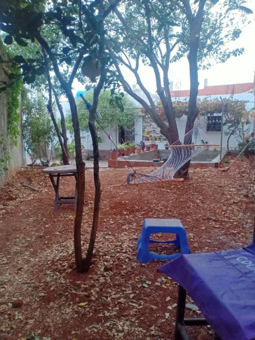 Location Appartement Niveau de villa F4 Tipaza Cherchell