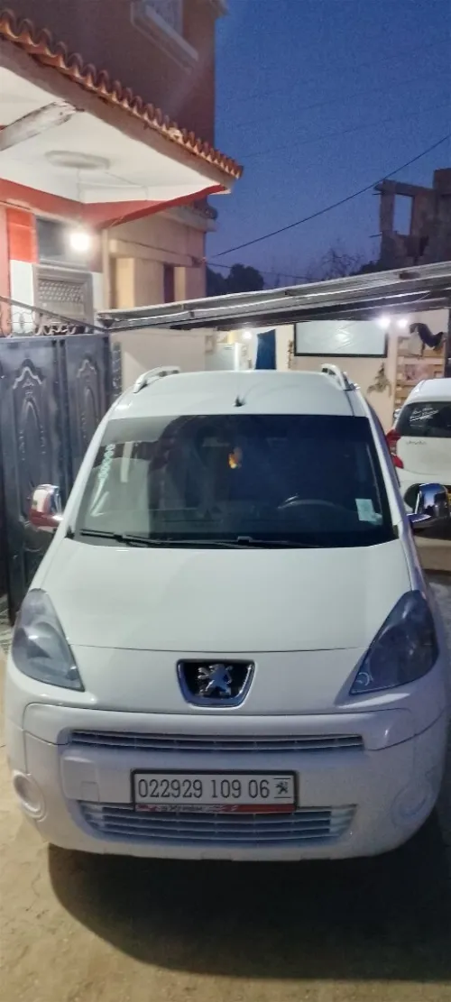 Peugeot Partner 2009 Tepee