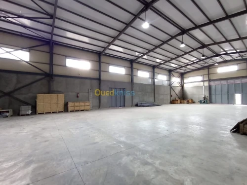 Location Hangar - Usine Alger Les eucalyptus