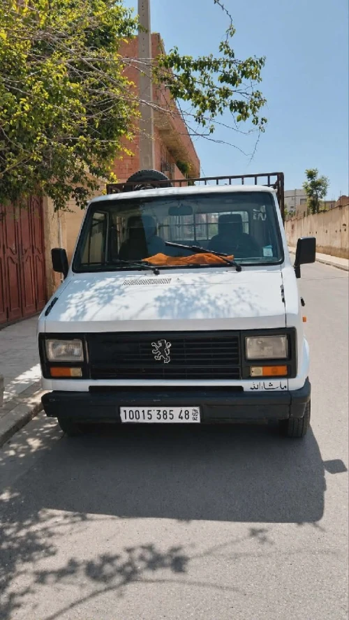 Peugeot J5 1985