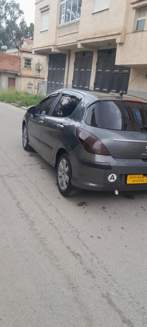 Peugeot 308 2008 308