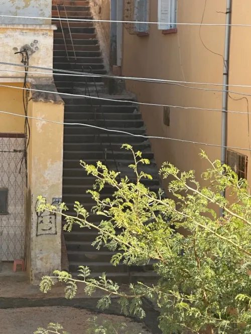 Location Local Appartement F3 Aïn Témouchent Beni saf