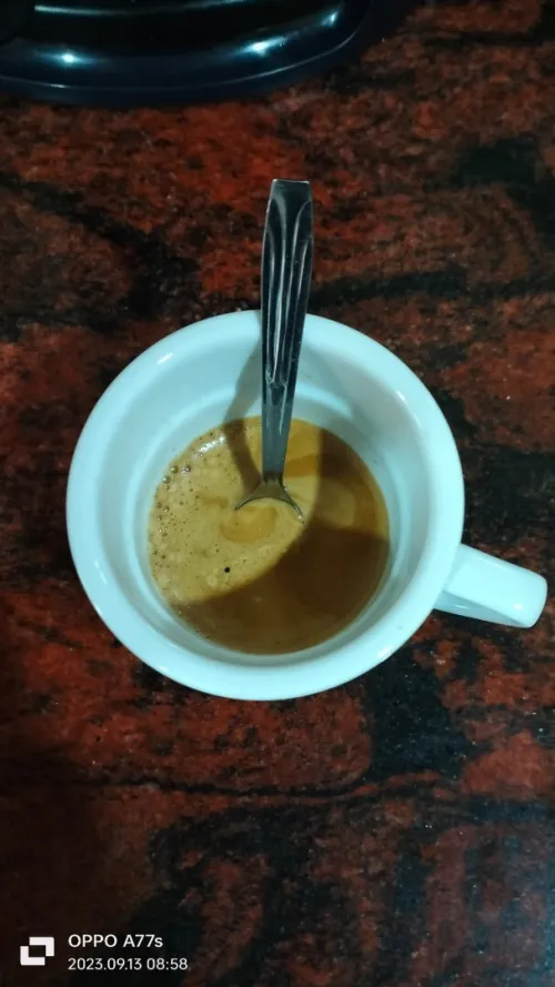 Delonghi