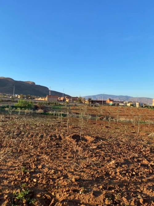 Vente Terrain Aïn Defla El attaf