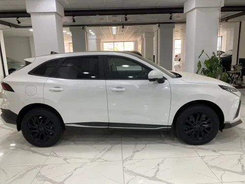 DF Joyear  T5 EVO 2025 Luxury