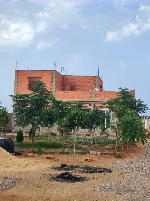 Vente Terrain Agricole Aïn Témouchent Ain el arbaa